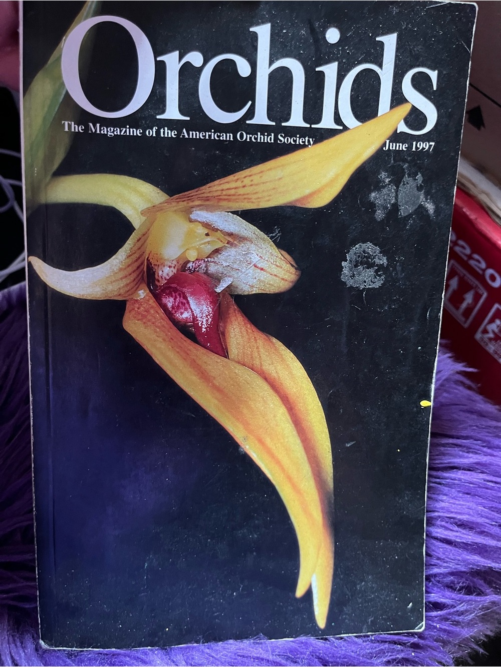 Vintage Magazine - Yellow Orchid Cover (June 1997)